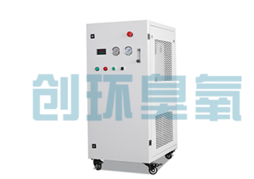 内江石斑鱼养殖水质调控完整指南：臭氧发生器配置与操作步骤
