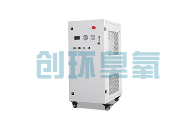 内江比传统换水更高效？臭氧发生器在石斑鱼养殖中的水质净化原理解析